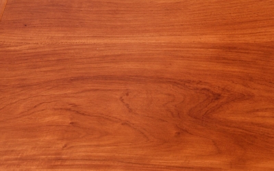 缅甸花梨（大果紫檀）